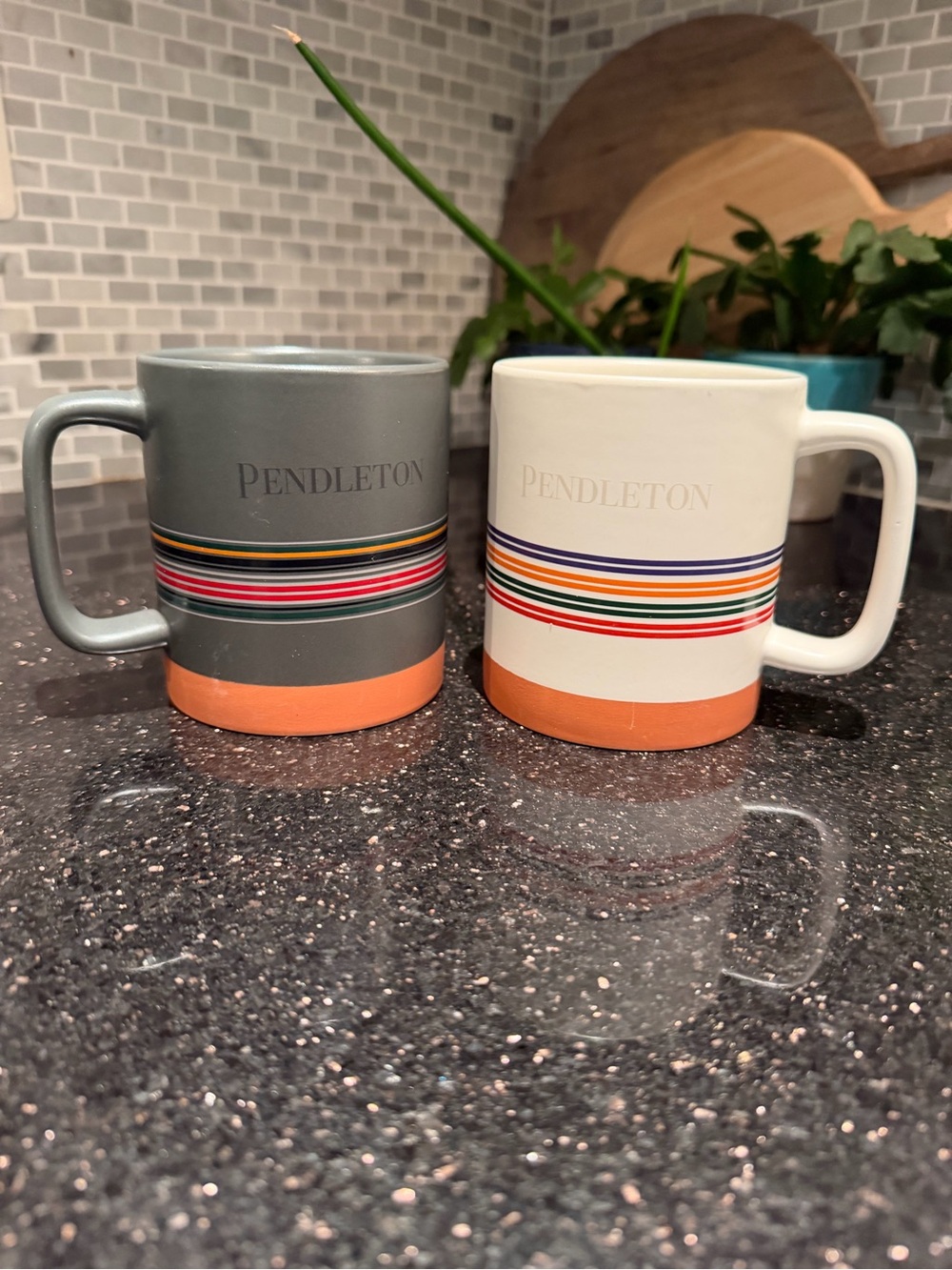 Pair Pendleton National Parks 18oz Stoneware Coffee Mugs NWOT
